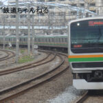 湘南新宿ライン・東海道線側の終着駅はなぜ小田原駅?熱海駅まで行かない理由は?
