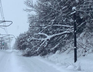 JR東日本、倒木・大雪で22日、23日一部区間で運転見合わせ　信越線・特急しらゆきなど