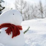 JR東日本、信越線、越後線弥彦線等大雪で倒木のため21日は終日運転見合わせ