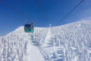 北海道でしか見られない冬の絶景10選！雪景色と温泉の楽しみ！
