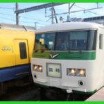 【185系特急復活】「足利大藤まつり」「谷川岳もぐら・ループ」運転