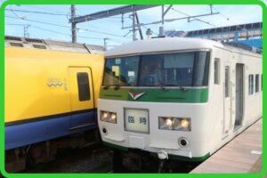 【185系特急復活】「足利大藤まつり」「谷川岳もぐら・ループ」運転