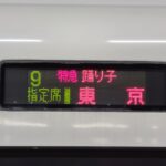 【東京⇔静岡】在来線最速の移動手段は特急踊り子併用!乗り鉄向きの旅行をしてみた!