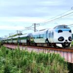 「特急くろしお」の予約方法や指定席の買い方は?停車駅や料金も紹介!大阪・京都から和歌山へ!