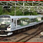 【愚策?】特急草津の減車は果たして得策だったのか?需要を取りこぼす可能性も?グリーン車サービス終了も減収になるか?