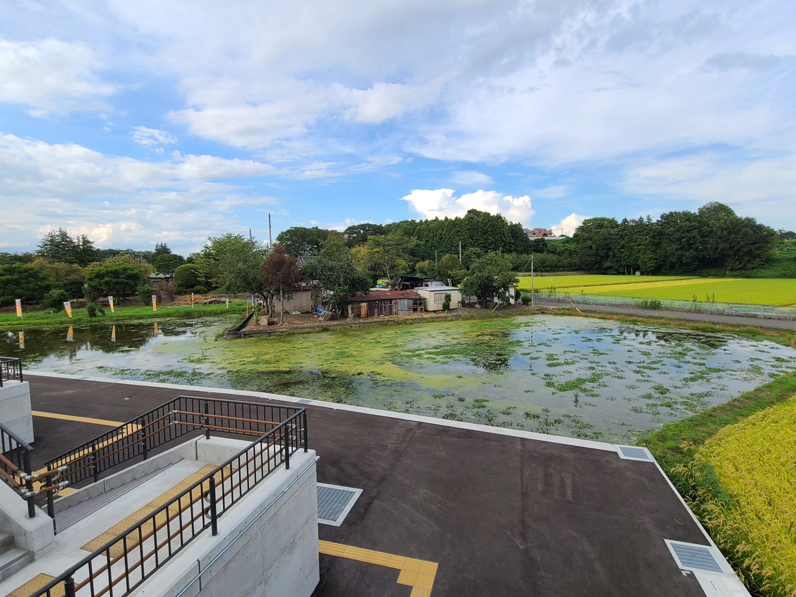 【秘境駅飛山城跡】宇都宮LRTで駅前に何もない駅の楽しみ方観光スポットも紹介