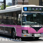 【葛飾区からディズニーランドを安く】シャトルセブンというお得なバスとは?