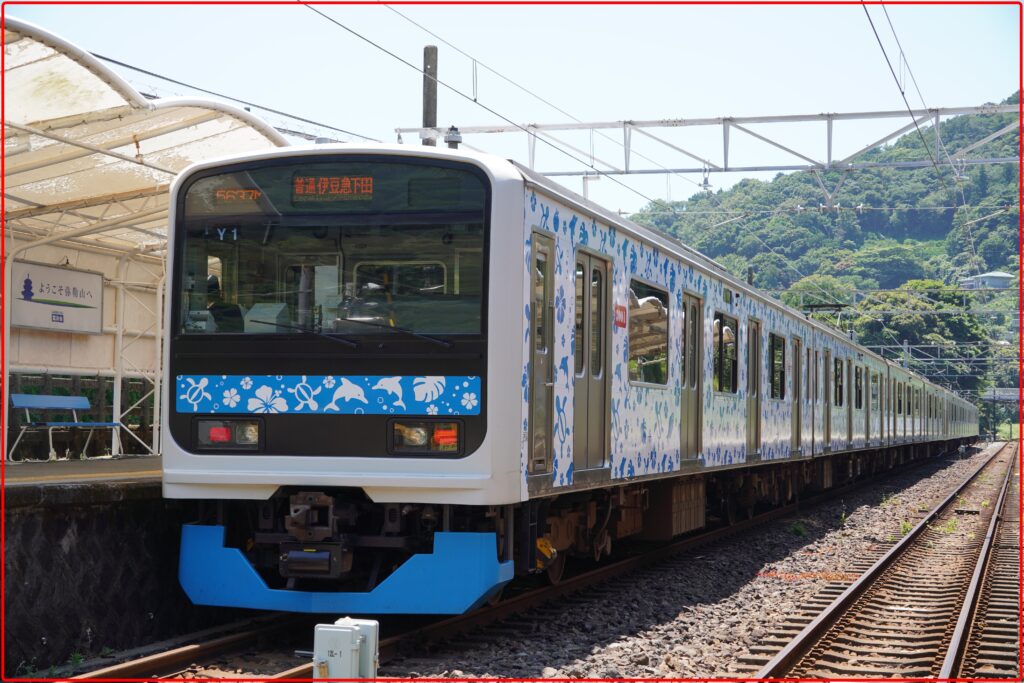209系伊豆急行線に転属したアロハ電車
