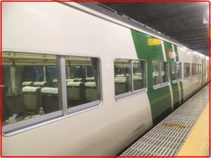 【速報】夜行ムーライトえちご復活運転?上野⇔新潟で185系夜行列車が運転